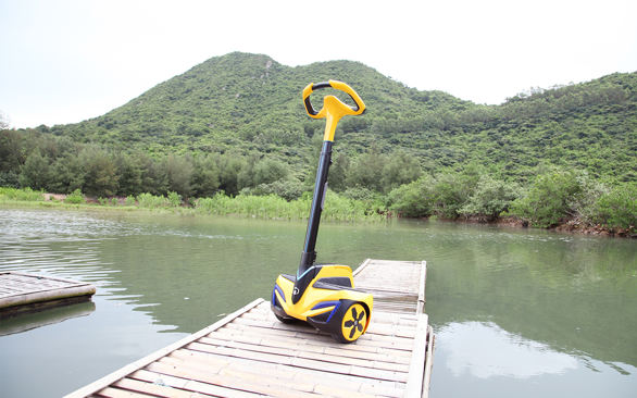 inmotion sensor controlled vehicle