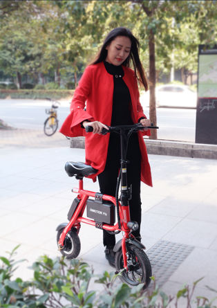ladies electric bicycle