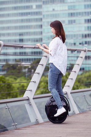 portable electric unicycle