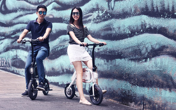 portable electric bike