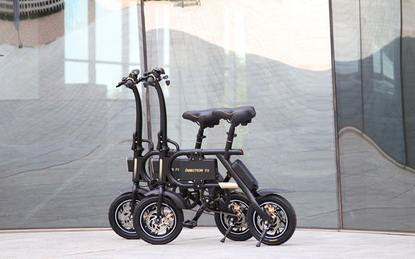 INMOTION P2
