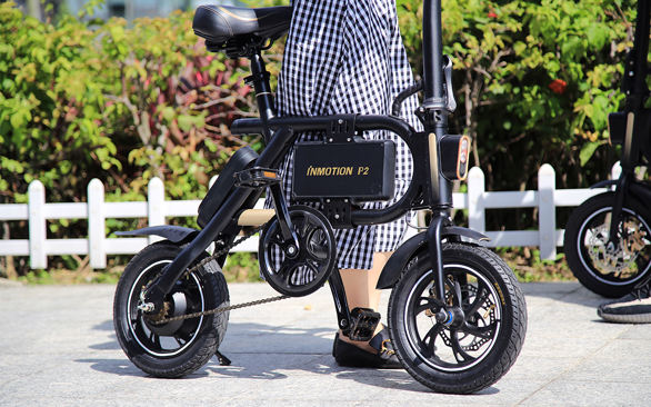 INMOTION P2