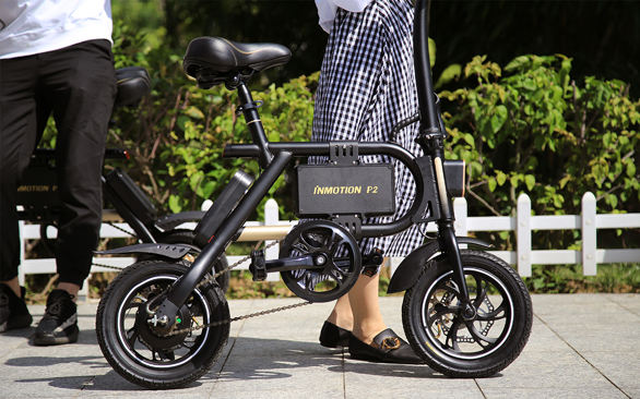 INMOTION P2