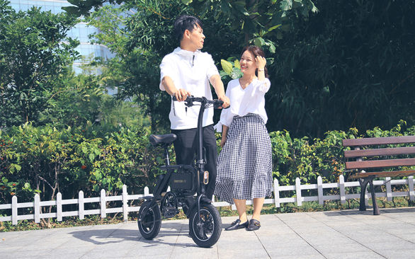 INMOTION P2