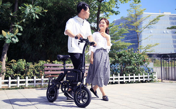 INMOTION P2