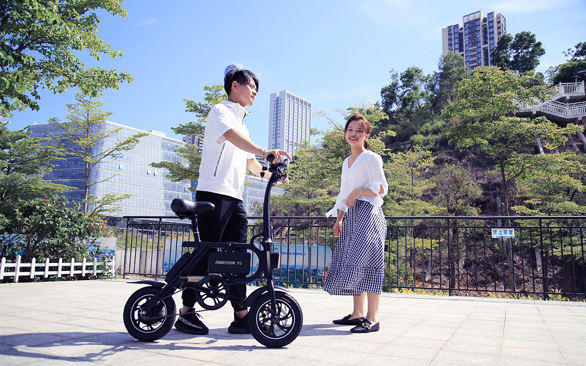 INMOTION P2