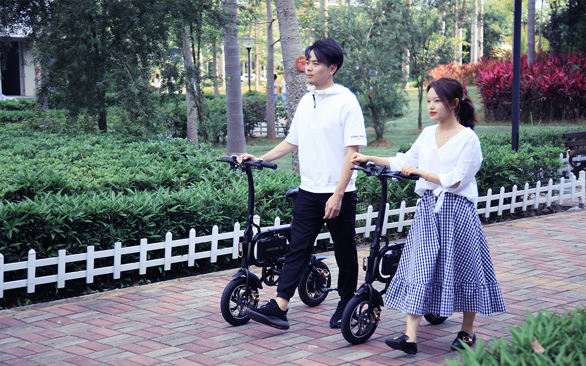 INMOTION P2