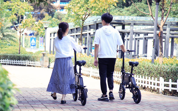 INMOTION P2