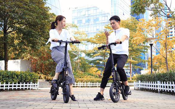 INMOTION P2