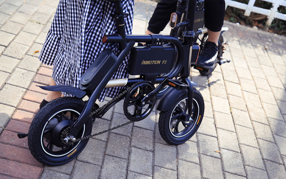 INMOTION P2