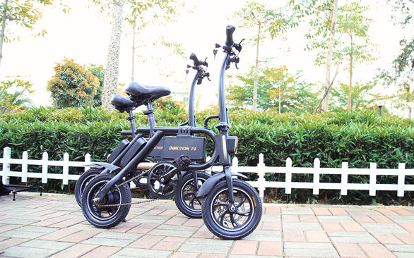 INMOTION P2